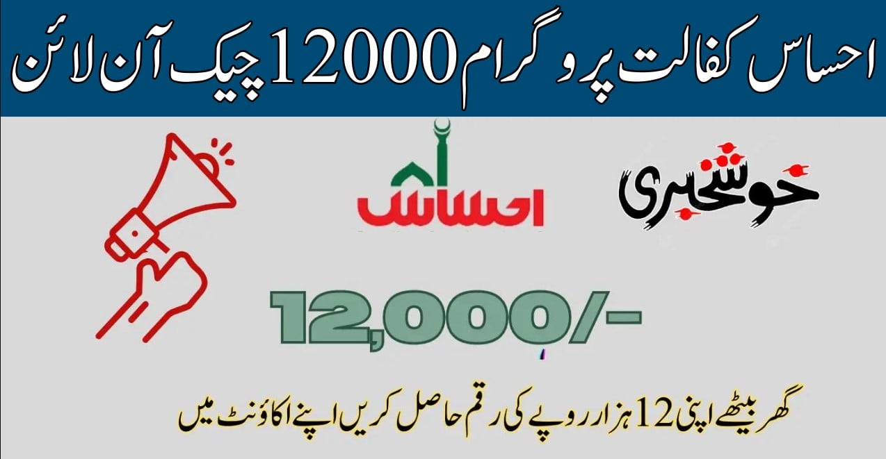 Ehsaas Program 12000 Online Check
